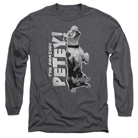 Adult Long Sleeve