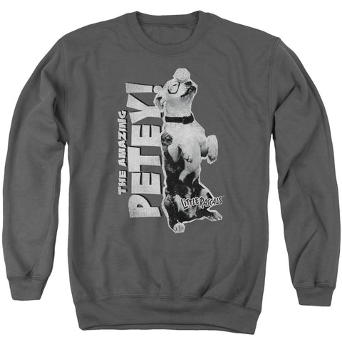 Adult Crewneck Sweatshirt