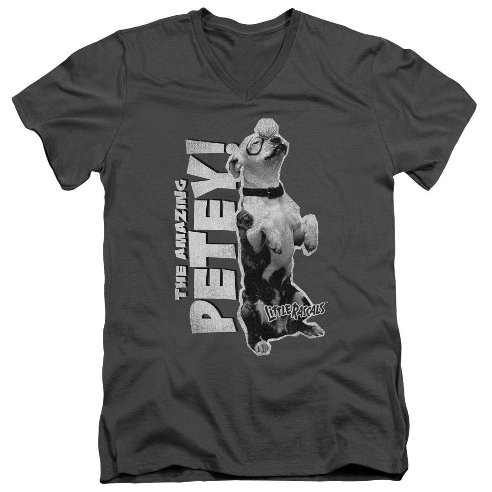 Adult Slim Fit V Neck
