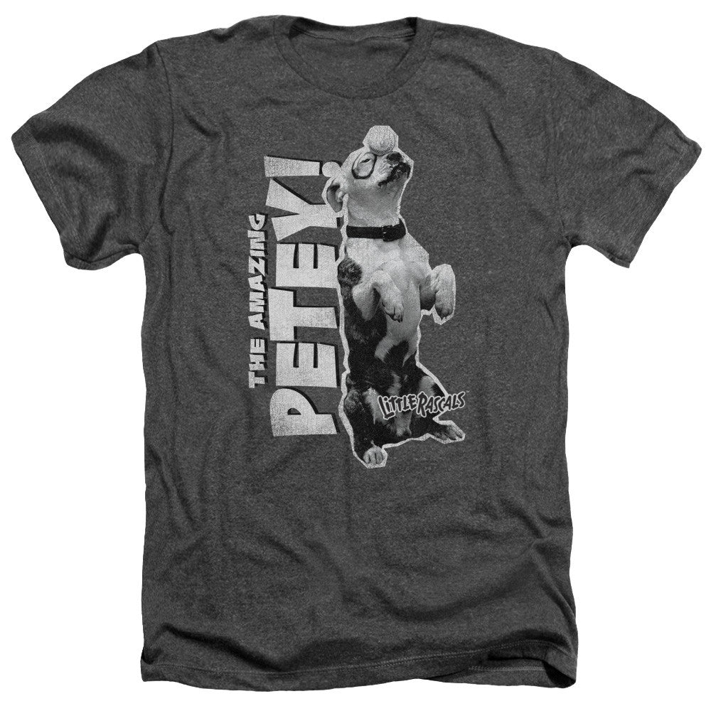 Adult Regular Fit Heather Short Sleeve