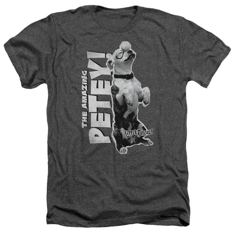 Adult Regular Fit Heather Short Sleeve