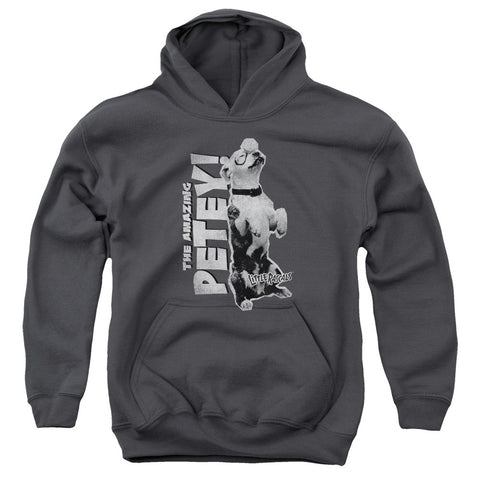 Youth Hooded Sweatshirt