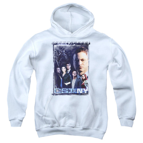 Youth Hooded Sweatshirt