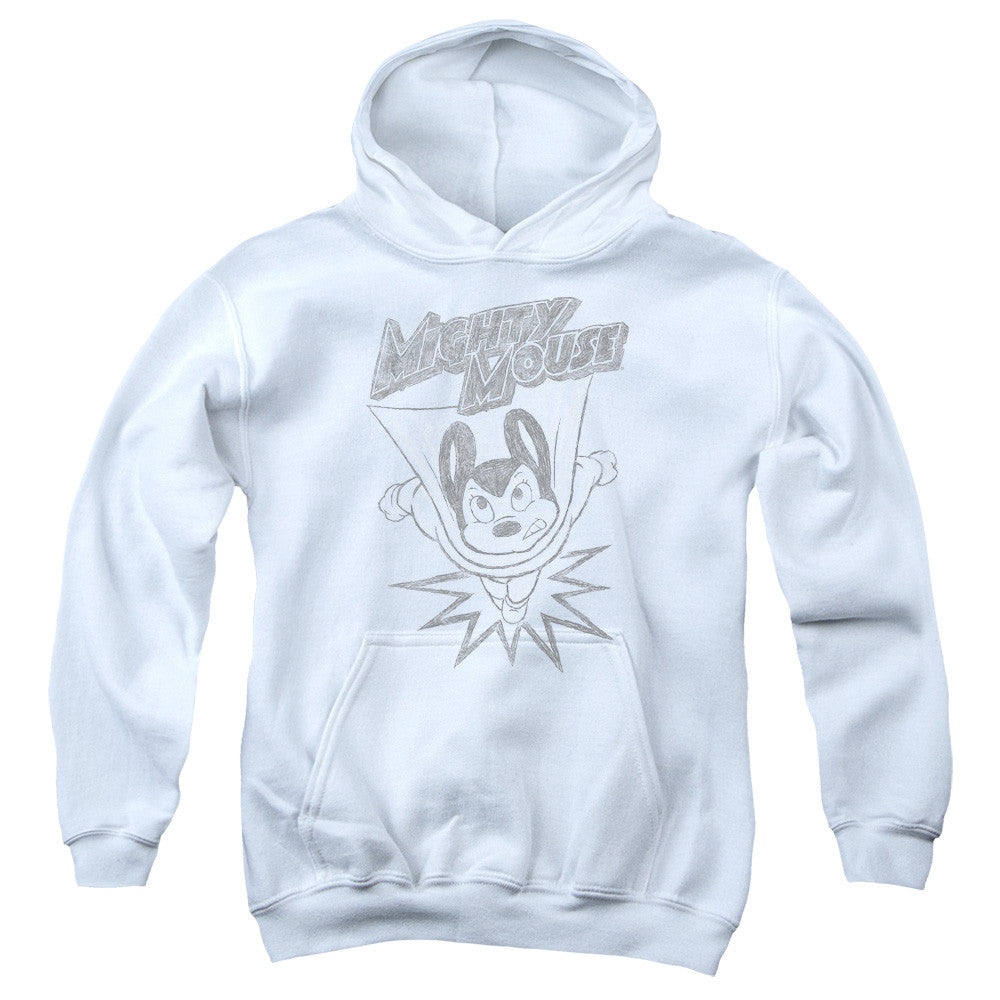 Youth Hooded Sweatshirt