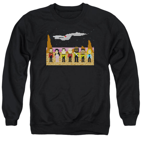 Adult Crewneck Sweatshirt