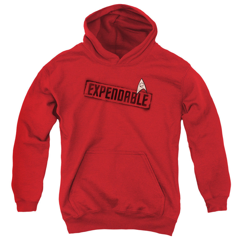 Youth Hooded Sweatshirt