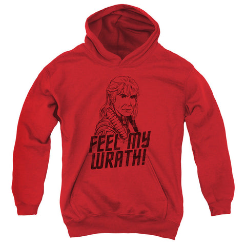 Youth Hooded Sweatshirt