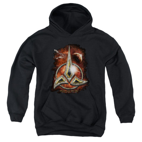 Youth Hooded Sweatshirt