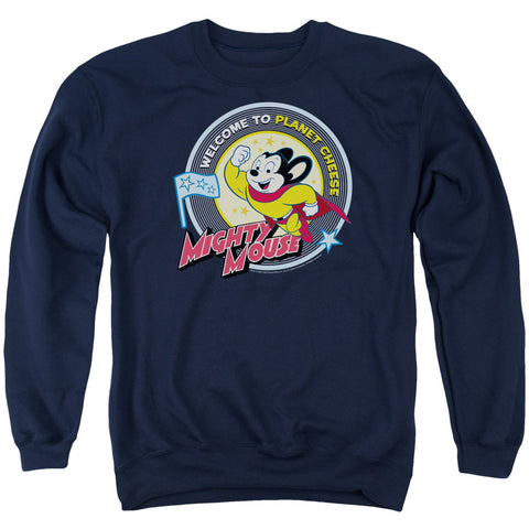 Adult Crewneck Sweatshirt