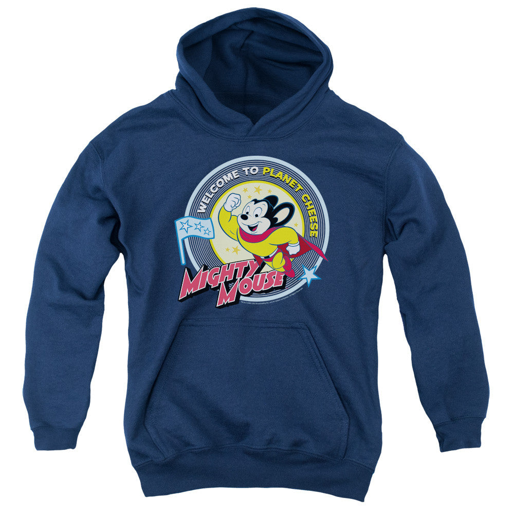 Youth Hooded Sweatshirt