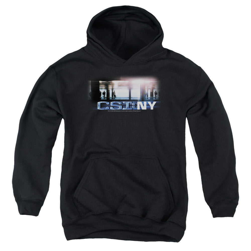 Youth Hooded Sweatshirt