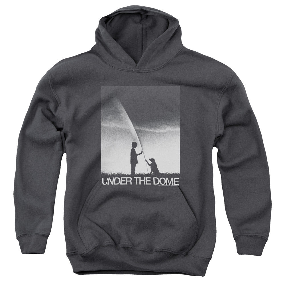 Youth Hooded Sweatshirt