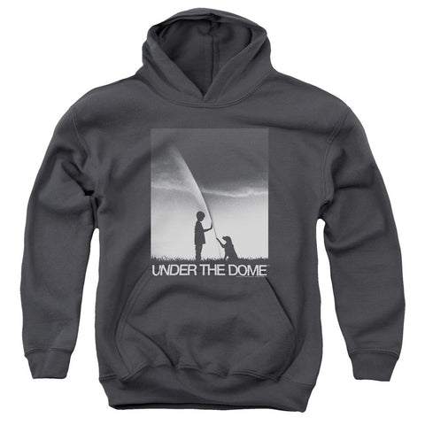 Youth Hooded Sweatshirt