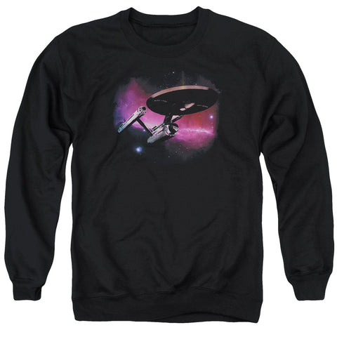 Adult Crewneck Sweatshirt