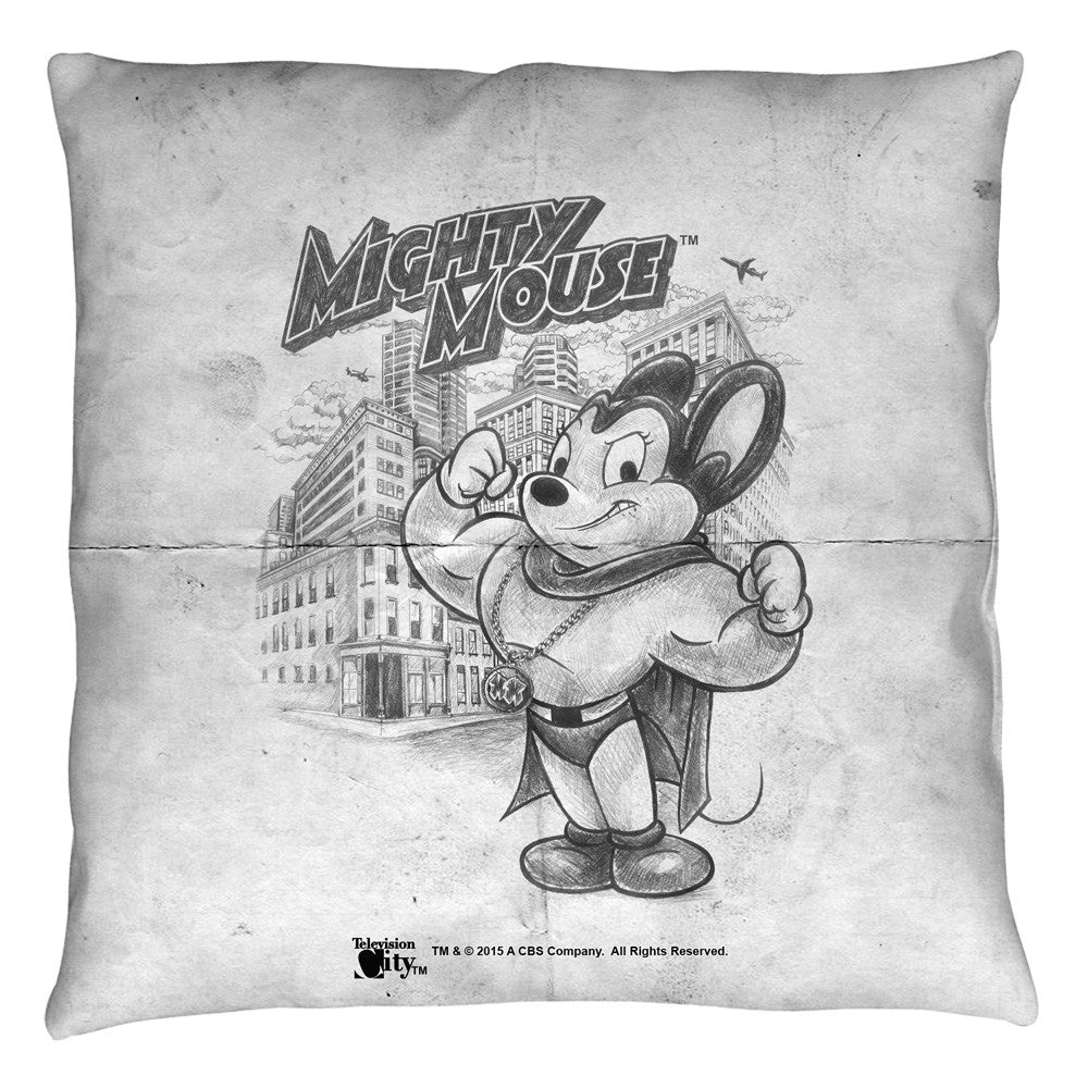 Throw Pillow