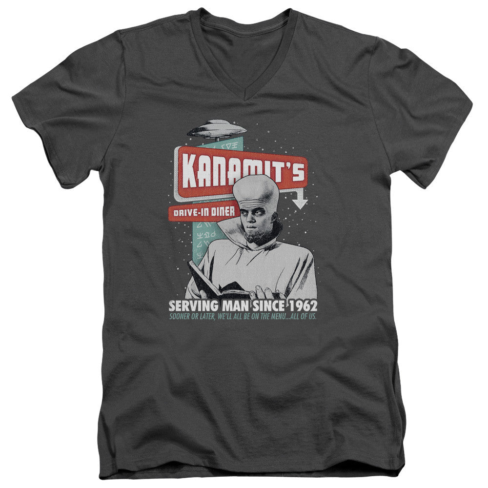 Adult Slim Fit V Neck