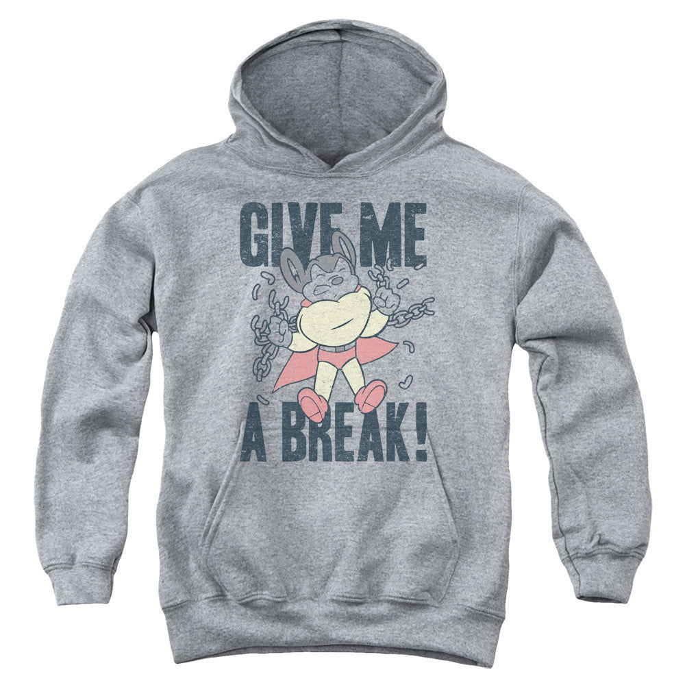 Youth Hooded Sweatshirt