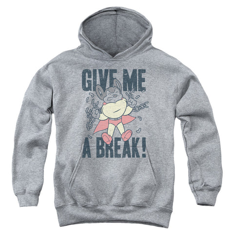 Youth Hooded Sweatshirt