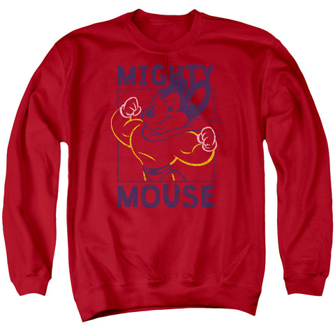 Adult Crewneck Sweatshirt