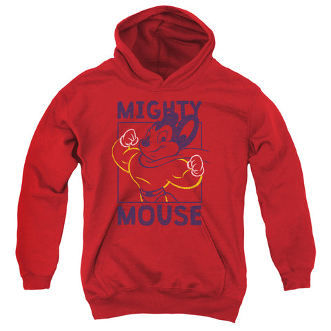 Youth Hooded Sweatshirt