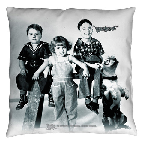 Throw Pillow -  - null