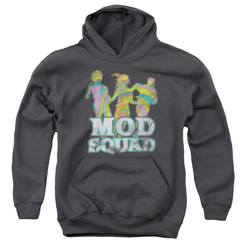 Youth Hooded Sweatshirt