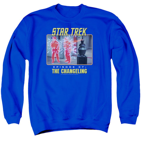 Adult Crewneck Sweatshirt