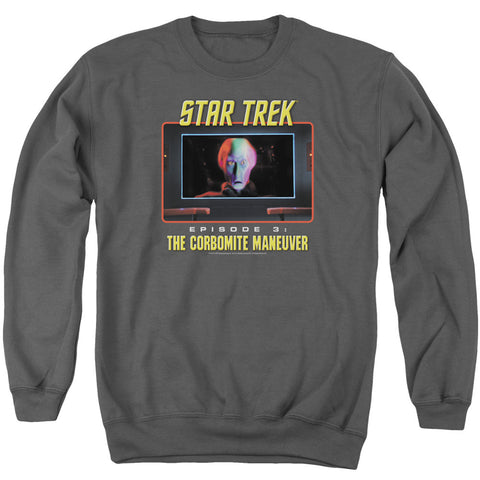 Adult Crewneck Sweatshirt