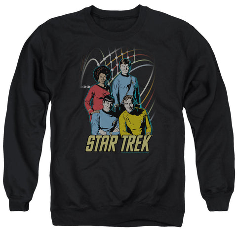 Adult Crewneck Sweatshirt