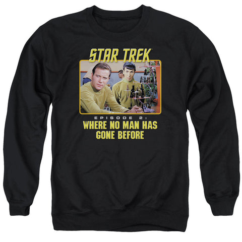 Adult Crewneck Sweatshirt