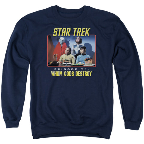 Adult Crewneck Sweatshirt