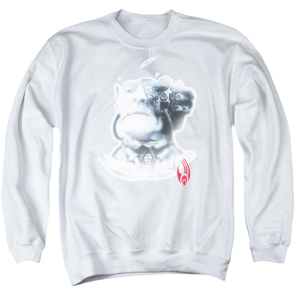 Adult Crewneck Sweatshirt