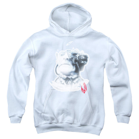 Youth Hooded Sweatshirt