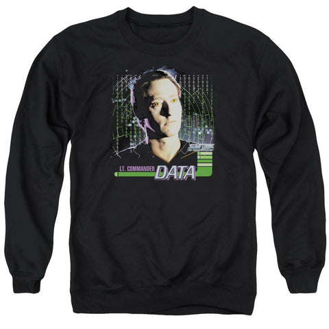 Adult Crewneck Sweatshirt