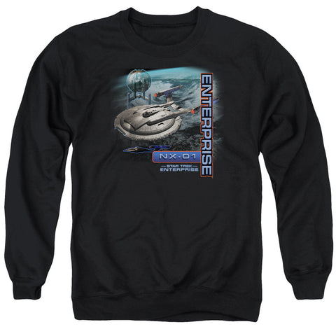 Adult Crewneck Sweatshirt