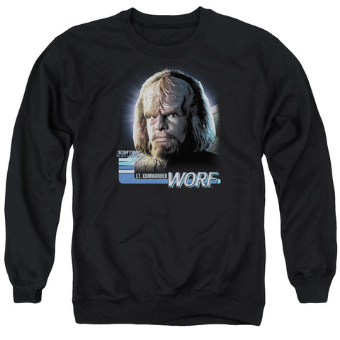 Adult Crewneck Sweatshirt