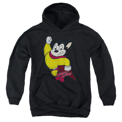 Youth Hooded Sweatshirt