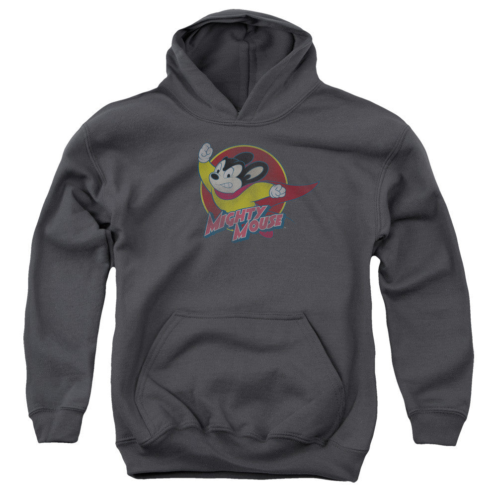 Youth Hooded Sweatshirt