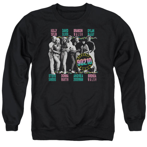 Adult Crewneck Sweatshirt