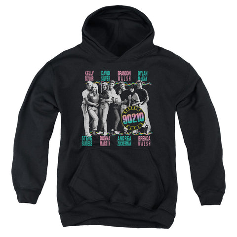 Youth Hooded Sweatshirt