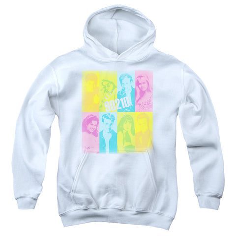 Youth Hooded Sweatshirt