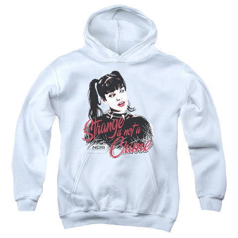 Youth Hooded Sweatshirt