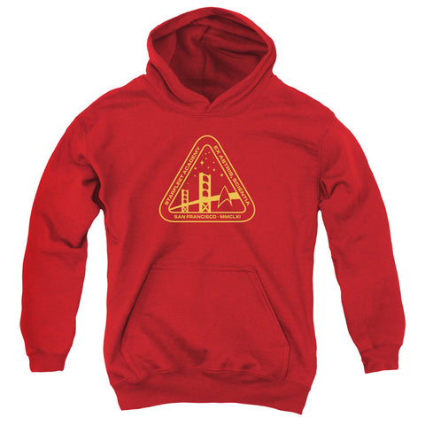 Youth Hooded Sweatshirt