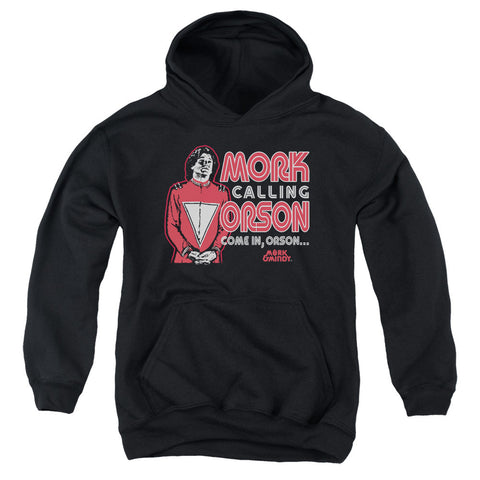 Youth Hooded Sweatshirt