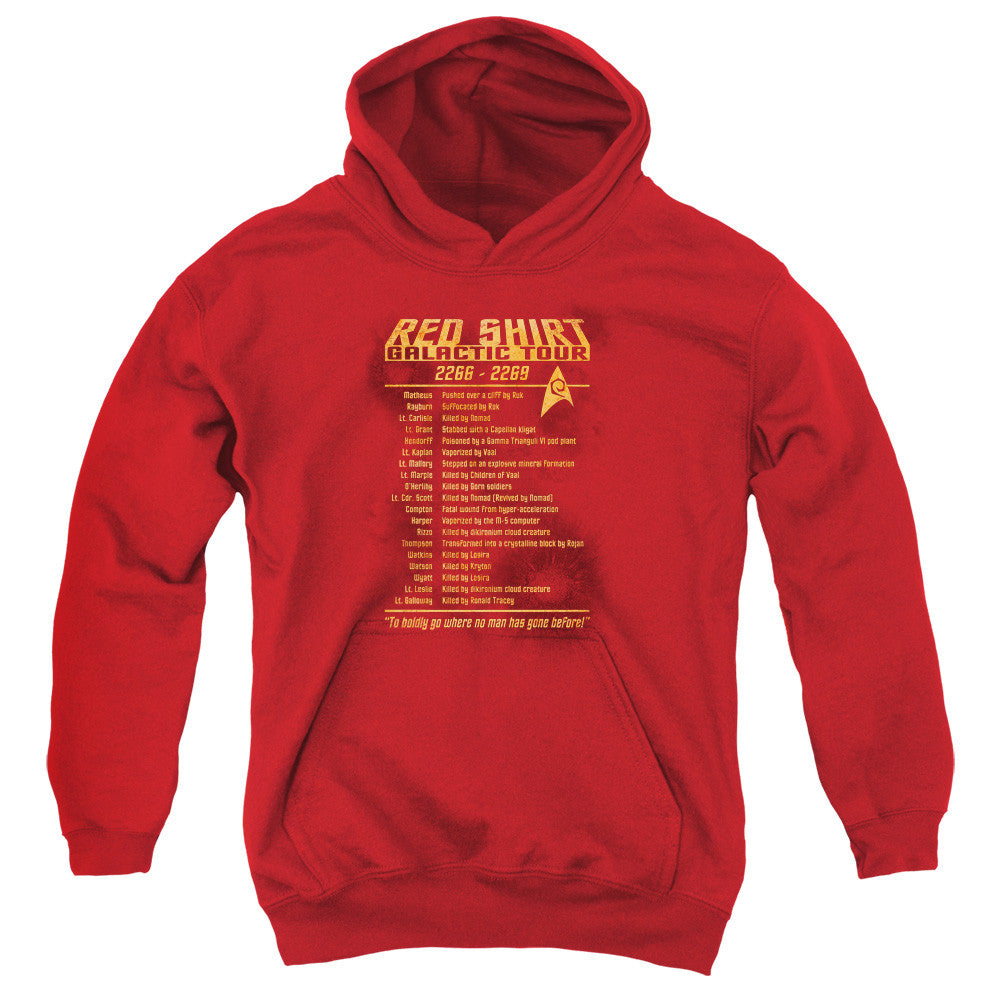 Youth Hooded Sweatshirt