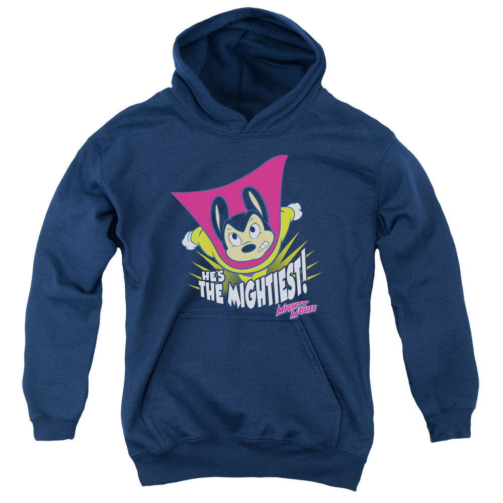 Youth Hooded Sweatshirt