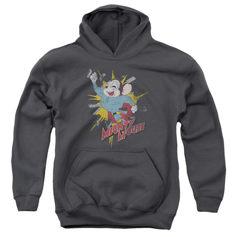 Youth Hooded Sweatshirt