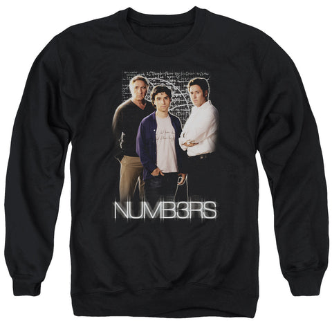 Adult Crewneck Sweatshirt