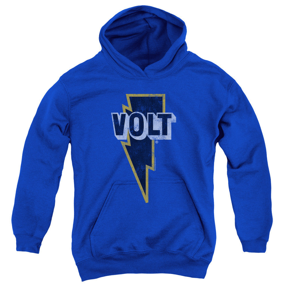 Youth Hooded Sweatshirt