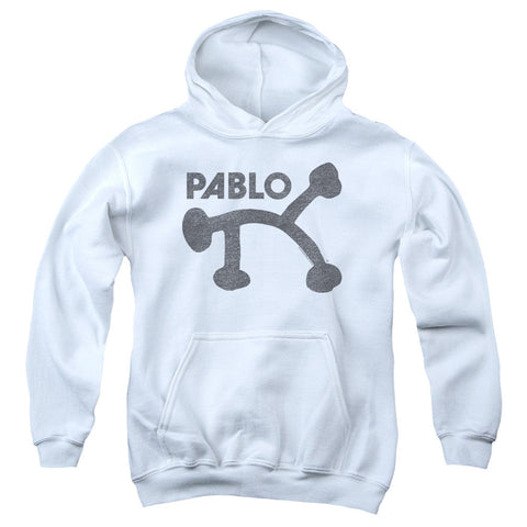 Youth Hooded Sweatshirt